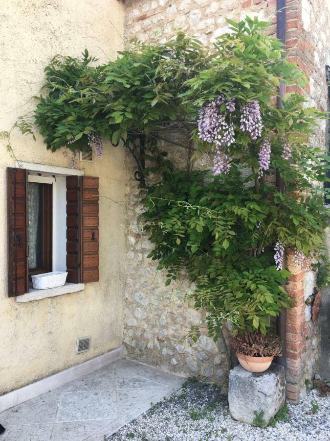 Casa Eulalia Villa Borso del Grappa Dış mekan fotoğraf